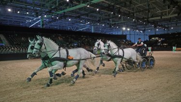 Equitana 2023 - new date for the World Equestrian Show