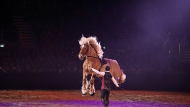 The highlights of Equitana 2023