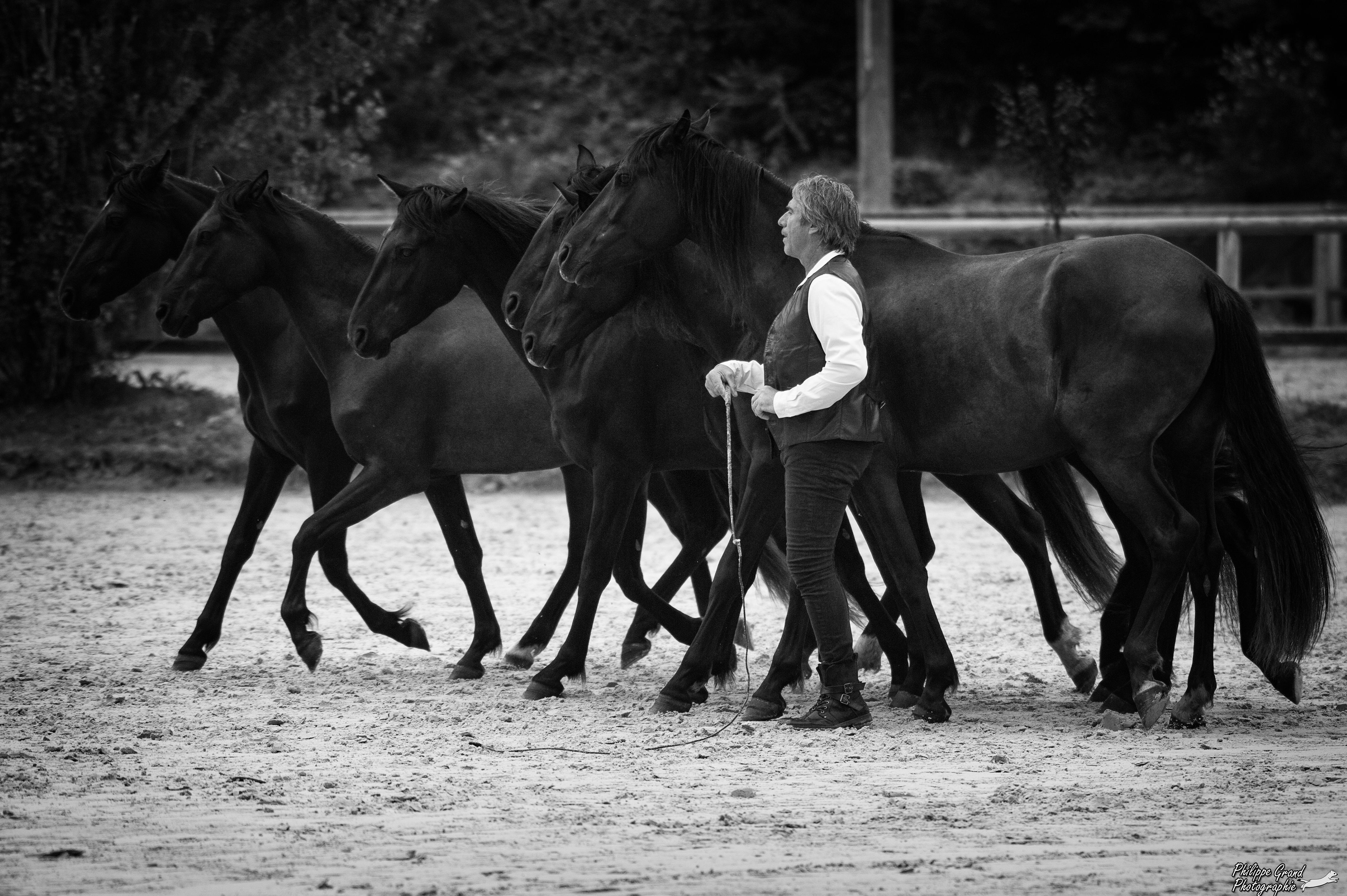 Jean Francois Pignon