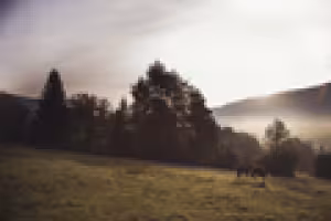 The small Swiss chocolate factory that makes great chocolates