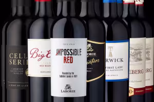 South African Wines Shine at Prowein 2024