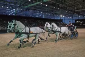 Equitana 2023 - new date for the World Equestrian Show