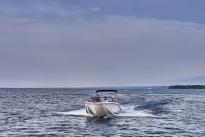 Bayliner M19
