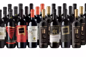 Spanish Wines Shine at ProWein 2024