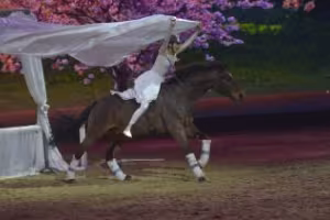 Equitana 2023: Innovation and Stars