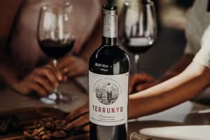 Concha y Toro: A 141-Year Legacy of Crafting World-Renowned Wines