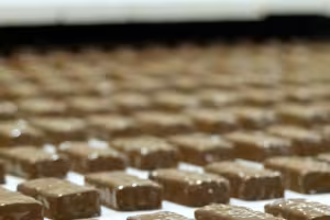 AnnaLife: Leading the Natural Snack Revolution