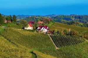 Austrian Wine Shines at ProWein 2024