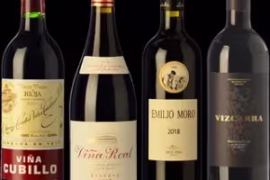 Ribera del Duero and Rioja Impress at ProWein 2024